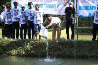 Koordinator Pusat Ganjar Muda Padjajaran (GMP), Randry Adryan Setiawan bersama sukarelawan memberikan bibit ikan dan pakan kepada warga di Kampung Wangunwati, Desa Sukawangun, Kecamatan Karangnunggal, Kabupaten Tasikmalaya, Jawa Barat, Rabu (13/9). Foto: GMP