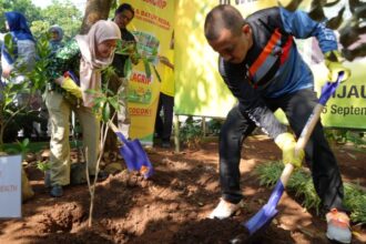 Wali Kota Jakarta Timur, Muhammad Anwar melakukan penanaman hingga menyiram bibit pohon untuk menjaga kondisi udara Jakarta di Kantor Kelurahan Ciracas, Selasa (26/9). Foto: Ist