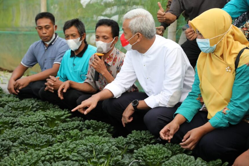 Ganjar Pranowo bersama kelompok petani organik di Desa Batur, Kecamatan Getasan, Kabupaten Semarang.