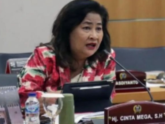 Anggota DPRD DKI Jakarta dari Fraksi PDIP, Cinta Mega.(foto dok pribadi)
