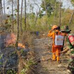 Sejumlah petugas tim gabungan dan BPBD Kabupaten Sragen berupaya memadamkan kebakaran hutan dan lahan yang melanda wilayah Kabupaten Sragen, Provinsi Jawa Tengah, Minggu (8/10).