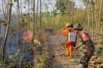 Sejumlah petugas tim gabungan dan BPBD Kabupaten Sragen berupaya memadamkan kebakaran hutan dan lahan yang melanda wilayah Kabupaten Sragen, Provinsi Jawa Tengah, Minggu (8/10).