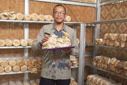 Kepala Suku Dinas (Sudin) Ketahanan Pangan, Kelautan dan Pertanian (KPKP) Jakarta Selatan, Hasudungan Sidabalok semringah saat memanen jamur tiram di Agro Edukasi Wisata Ragunan, Pasar Minggu, Jumat (20/10). Foto: Ist