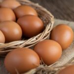 Ilustrasi - Harga telur ayam di pasaran kembali merangkak naik di harga Rp25 ribu per kilogram, Selasa (24/10).