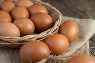 Ilustrasi - Harga telur ayam di pasaran kembali merangkak naik di harga Rp25 ribu per kilogram, Selasa (24/10).