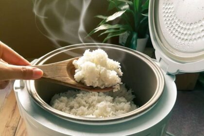 Ilustrasi rice cooker. Foto Shutterstock