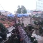 Angin puting beliung menghempaskan pohon berukuran besar tumbang menimpa rumah warga di Kota Cimahi, Jawa Barat, pada Rabu (25/10) sekitar pukul 13.00 WIB. Foto: Ist