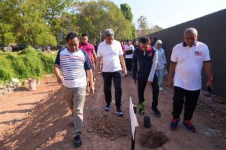 Penjabat Gubernur Sulsel, Bahtiar Baharuddin, didampingi Kepala Dinas Lingkungan Hidup dan Kehutanan Sulsel, Muh Hasbi, melakukan penanaman pohon salam di Kawasan Kantor Gubernur Sulsel, Jumat, 13 Oktober 2023. Penanaman pohon ini dilakukan usai jalan pagi bersama sejumlah Kepala OPD dan jajaran. Foto/ist