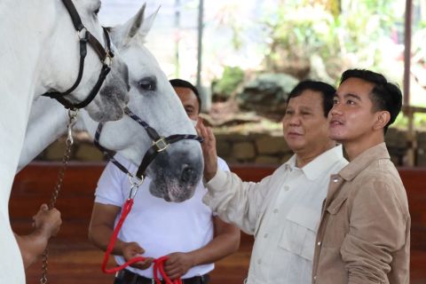 Capres Prabowo Subianto akan mendeklarasikan Wali Kota Solo Gibran Rakabuming Raka sebagai cawapres di Jakarta Convention Center (JCC), besok Senin (23/10/2023).