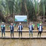 Sejumlah karyawan dan jajaran Direksi serta Komisaris BRI Life melakuan penanaman mangrove sebagai rangkaian kegiatan menyambut HUT BRI Life ke- 36 di 28 Oktober 2023. Foto: Ist  