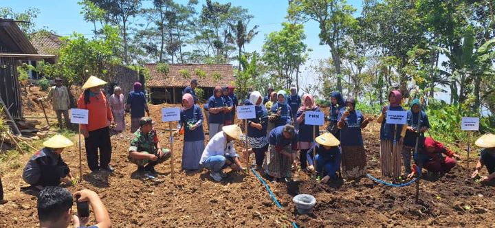 Ikut berkontribusi terhadap sektor pertanian, PNM terus berkomitmen untuk memajukan ekonomi kerakyatan. Tidak hanya untuk nasabah saja, tetapi mereka yang juga terlibat di sektor ini yakni para petani di Indonesia.