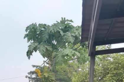 Warga Desa Jatilaksana dan Kertasari menempatkan deretan wadah untuk mendapatkan air bersih, foto: BPBD