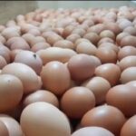 Harga telur ayam kembali merangkak naik hingga mengakibatkan omzet pedagang mulai mengalami penurunan, Selasa (24/10). Foto: Dok/ipol.id