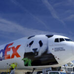 Panda raksasa tersebut ditemani ahli perawatan diterbangkan khusus dengan pesawat kargo dari “FedEx Panda Express”.