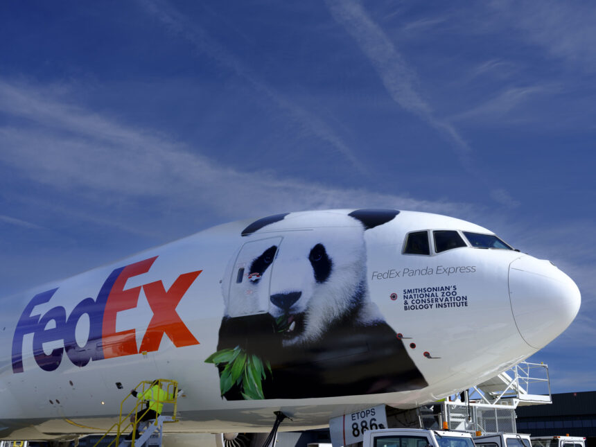 Panda raksasa tersebut ditemani ahli perawatan diterbangkan khusus dengan pesawat kargo dari “FedEx Panda Express”.