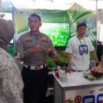 Iptu Dr. Umar Aryo Seno Junior, SH, MM Perkenalkan Usaha Pertanian Hydroponicnya di Presisi Preneur Expo 2023. Foto/istimewa 