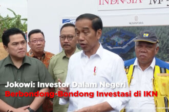 Jokowi: Investor Dalam Negeri Berbondong-Bondong Investasi di IKN