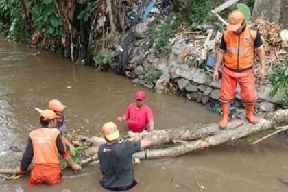 Enam Petugas Penanganan Prasarana dan Sarana Umum (PPSU) melakukan evakuasi pohon angsana yang tumbang menutupi aliran Kali Alber di RT 003/RW 04, Kelurahan Srengseng Sawah, Kecamatan Jagakarsa, Jakarta Selatan, Senin (6/11) siang. Foto: Ist