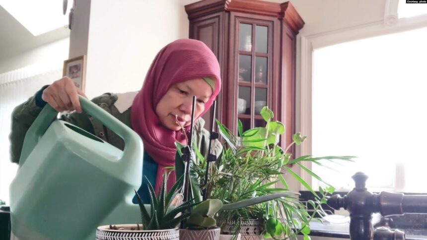Desiyani Nurbaiti untuk akhir tahun kedua menjadi house-sitter. Kali ini diminta mengurus tanaman.