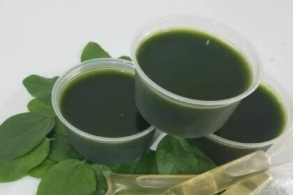 Daun cincau hijau alami. Foto: X, @agrofood_plat