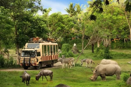 Perjalanan safari di Taman Safari Bali.