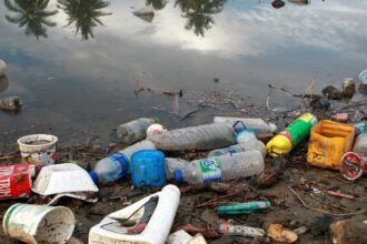 Botol plastik dan sampah yang terbawa ke laut. Persoalan sampah plastik harus menjadi perhatian semua pihak di Indonesia. Foto: UN News
