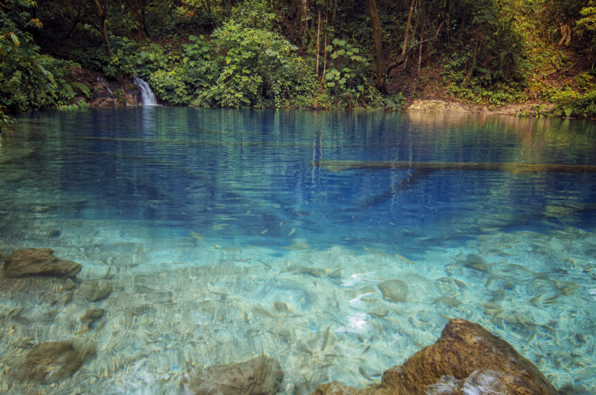 Bening dan jernih dikelilingi pepohonan yang rindang menjadi daya tarik utama Danau Kaco.