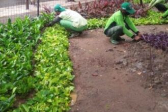 Ilustrasi sejumlah petugas sedang melakukan pembenahan kawasan Thamrin -Sudirmam, Jakpus.(foto dok pemprov)