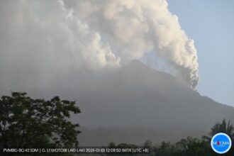 Gunungapi Lewotobi Laki-Laki di Flores Timur, NTT, mengeluarkan abu vulkanik berwarna putih abu saat erupsi pada Senin (1/1/2024). Foto: PVMBG