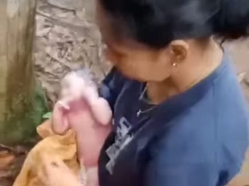 Bayi Perempuan ditemukan warga tergeletak diatas karung pupuk di kebun karet Desa Bingkulu. Foto: IG, @info.negri (tangkap layar)