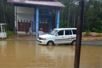 Kondisi banjir yang melanda Desa Nanga Tepuai, Kecamatan Hulu Gunung, Kabupaten Kapuas Hulu, Kalimantan Barat pada Jumat (5/1) siang. Foto: BPBD Kabupaten Kapuas Hulu