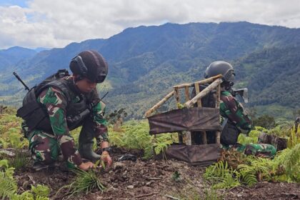 Satgas Pamtas Mobile Yonif 330 Tri Dharma saat melakukan penanaman Pohon Mahoni di Kabupaten Intan Jaya, Papua Tengah, Rabu (10/1/24). Foto: Satgas Pamtas Mobile Yonif 330 Tri Dharma