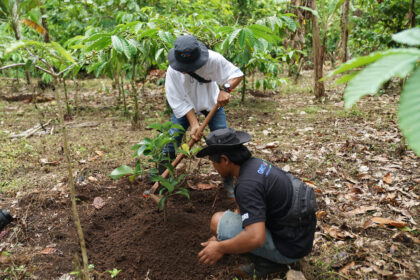 Program BRI Menanam Grow & Green yang berkolaborasi dengan Yayasan Bakau Manfaat Universal, melakukan pemberdayaan kepada dua Kelompok Tani Hutan (KTH) yaitu KTH Wana Asri dan KTH Giri Lestari di Desa Belatungan, Kecamatan Pupuan, Kabupaten Tabanan, Bali. Foto: Dok BRI