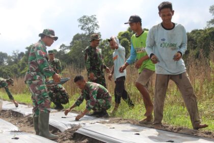 Kodim 1012/Buntok melaksanakan penanaman semangka, bertempat di area lahan milik Kodim 1012/Buntok Desa Pamangka Kecamatan Dusun Selatan Kabupaten Barito Selatan, Provinsi Kalteng, pada Sabtu (27/1/2024). Foto: Pendim 1012/Btk