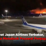 Pesawat Japan Airlines Terbakar, Diduga Menabrak Pesawat Penjaga Pantai