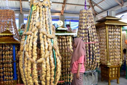 Seorang pengunjung melihat tolangga yang dihiasi dengan kue kolombengi pada Festival Walima memperingati Maulid Nabi Muhammad Saw di Masjid At-Taqwa Desa Bongo, Kecamatan Batudaa Pantai, Kabupaten Gorontalo, Sabtu (15/10/2022). Tolangga adalah wadah yang dibentuk menyerupai menara masjid yang pada setiap sisinya dihiasi dengan kue adat Gorontalo, seperti kolombengi dan sukade yang dipersembahkan warga pada perayaan walima.