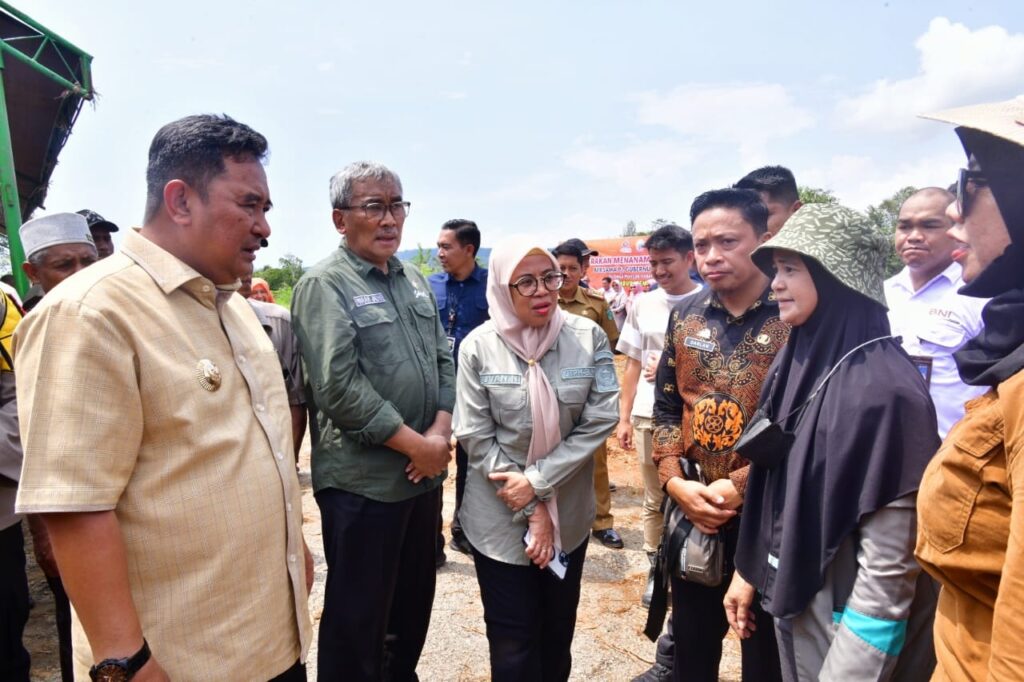 Tanam Perdana Pisang Cavendish di Lutim, Petani Terharu Terima Bantuan Bibit 3 ee39dd03 1ec5 45c3 9aa8 2107b4447e29