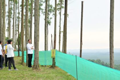 Presiden Jokowi bersama sejumlah pejabat menikmati suasana pagi di kawasan IKN, Penajam Paser Utara, Kaltim, Jumat (22/9/2023). Foto: BPMI Setpres