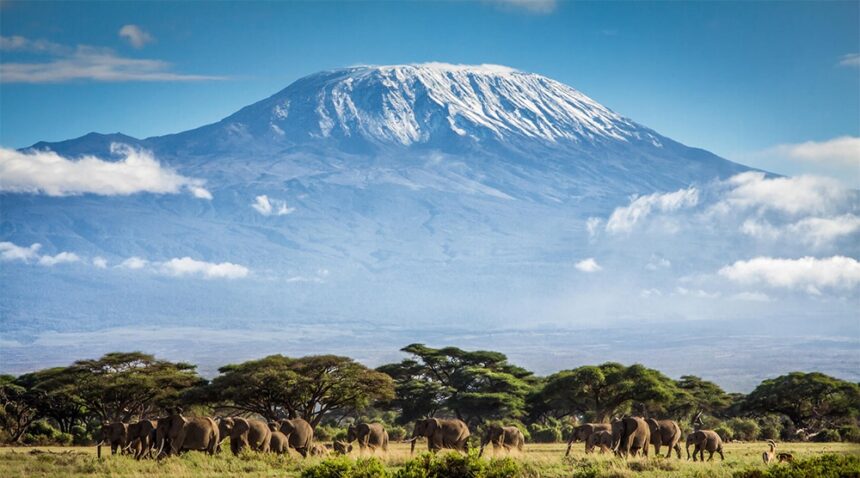 Keindahan Gunung Kilimanjaro yang punya beragam ekosistem. Foto: discoverafrica