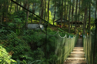 Suaka Elang Loji, Salah Satu Rekomendasi Tempat WIsata Alam di Bogor. Sumber foto: instagram.com/@ekabo.bogorkab.go.id