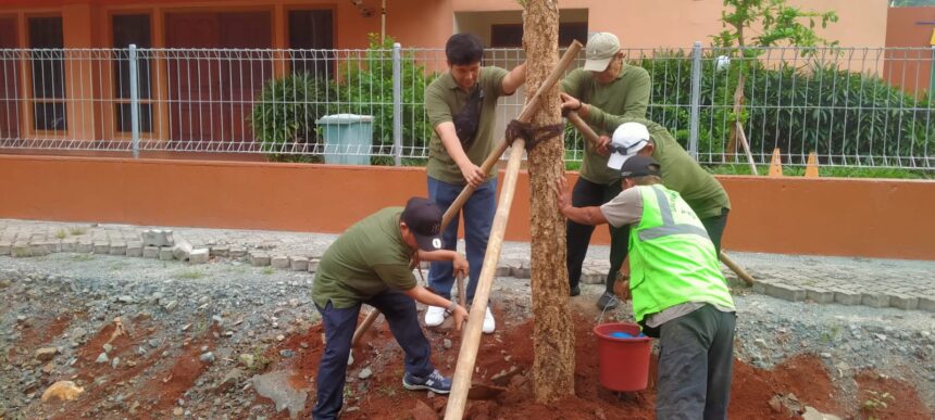 Petugas gabungan dan Suku Dinas Pertamanan dan Hutan Kota (Sudin Tamhut) Jakarta Timur menanam 15 pohon Tabebuya di akses Stasiun KCIC Halim, Kelurahan Kebon Pala, Makasar, Jumat (16/2). Foto: Ist