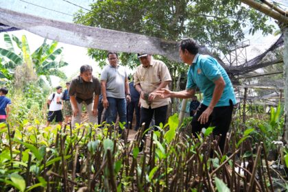 Pj Gubernur Sulsel saat meninjau lokasi pembibitan. Foto: Pemprov Sulsel