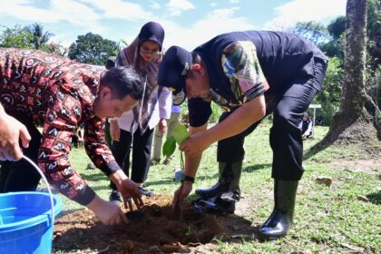 Bupati Pangkep Muhammad Yusran Lologau mendampingi Pj Gubernur Sulawesi Selatan, Bahtiar Baharuddin melakukan penanaman nangka madu di lahan warga, di Kelurahan Balleang, Kecamatan Balloci.