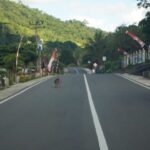 Presiden Joko Widodo didampingi Menteri PUPR, Basuki Hadimuljono, dan sejumlah menteri lainnya meresmikan perbaikan 9 ruas jalan melalui Inpres Jalan Daerah (IJD) di Provinsi Sulawesi Utara. Foto: PUPR