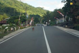 Presiden Joko Widodo didampingi Menteri PUPR, Basuki Hadimuljono, dan sejumlah menteri lainnya meresmikan perbaikan 9 ruas jalan melalui Inpres Jalan Daerah (IJD) di Provinsi Sulawesi Utara. Foto: PUPR