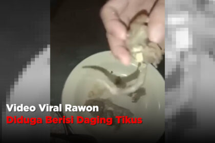 Video Viral Rawon Diduga Berisi Daging Tikus