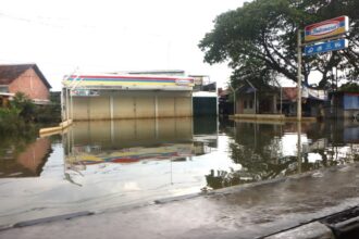 Lahan persawahan, jalanan hingga minimarket Indomaret di Kecamatan Karanganyar, Kabupaten Demak, sebelumnya sejak awal Februari 2024 lalu tergenang ketinggian sekitar 150 cm kini mulai berangsur surut. Foto: Badan Nasional Penanggulangan Bencana (BNPB)