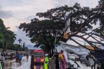 Sejumlah personel gabungan, Badan SAR Nasional (Basarnas), Badan Nasional Penanggulangan Bencana (BNPB), BPBD, TNI-Polri, aparat desa, kecamatan, kelurahan, serta warga sekitar lokasi terdampak puting beliung melakukan pembersihan dan evakuasi sejumlah pohon tumbang di wilayah Kabupaten Sumedang dan Bandung, Jawa Barat, Kamis (22/2). Foto: BNPB