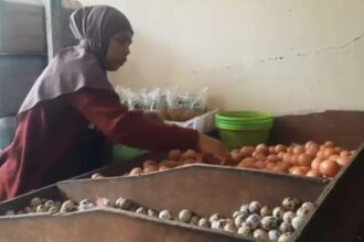 Awal Ramadan 1445 Hijriah, harga sejumlah bahan pokok mengalami kenaikan, bahkan telur ayam yang ikut melonjak naik. Foto: Dok/ipol.id