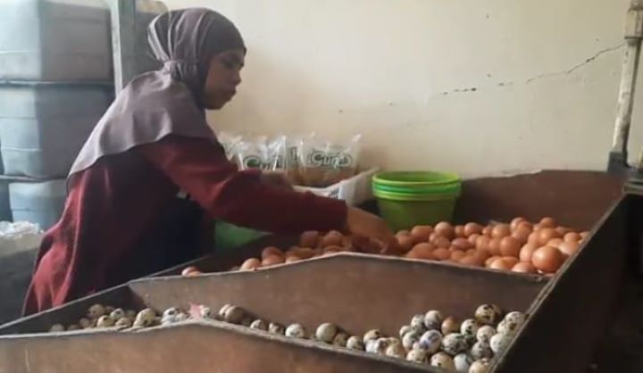 Awal Ramadan 1445 Hijriah, harga sejumlah bahan pokok mengalami kenaikan, bahkan telur ayam yang ikut melonjak naik. Foto: Dok/ipol.id